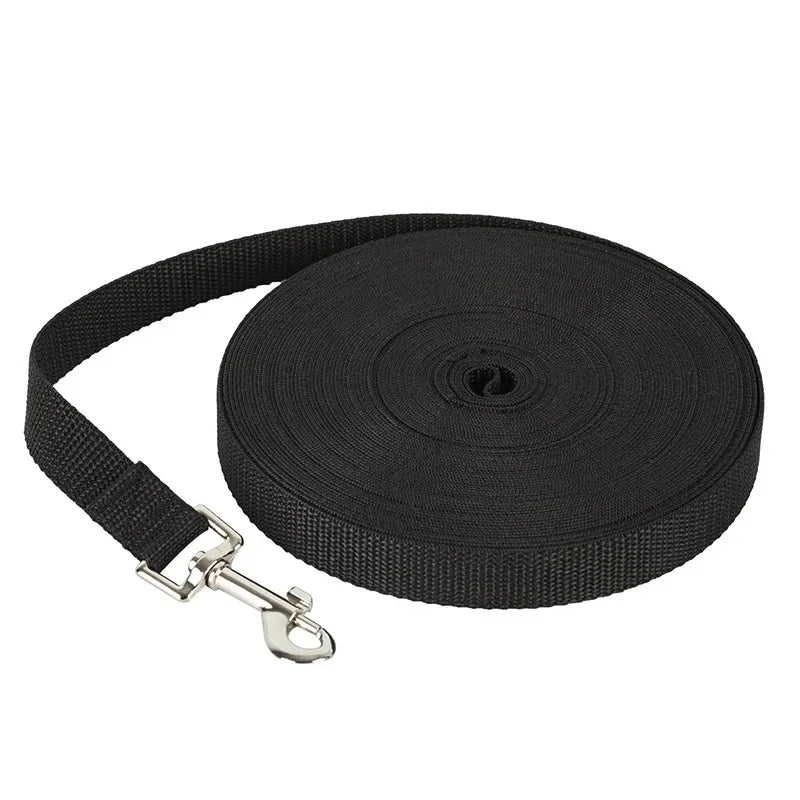 Laisse longue pour chien – Liberté & contrôle jusqu’à 50m