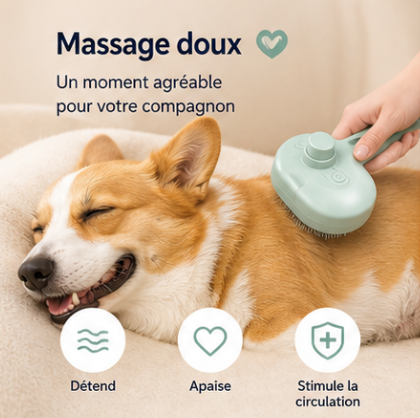 Brosse spray 3-en-1 pour chien & chat – Nettoyage facile